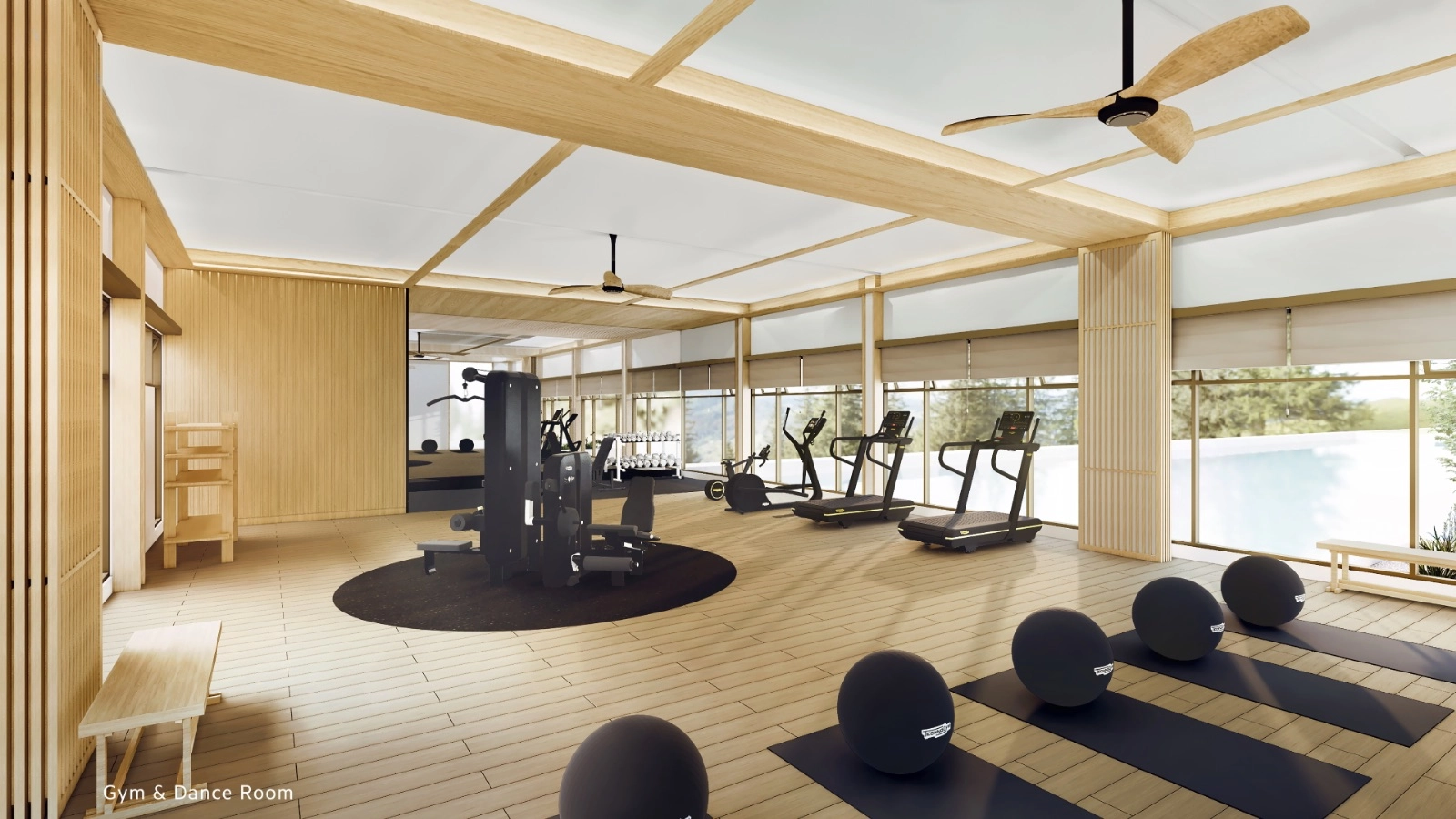 ANYA at Shorea Park Puchong gym and dance room facility