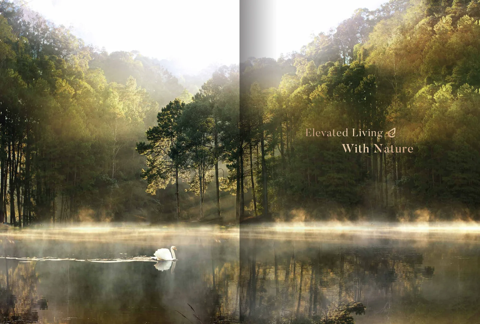 Foresthill Residence Brochure Artist Impression 1 from verified project brochure