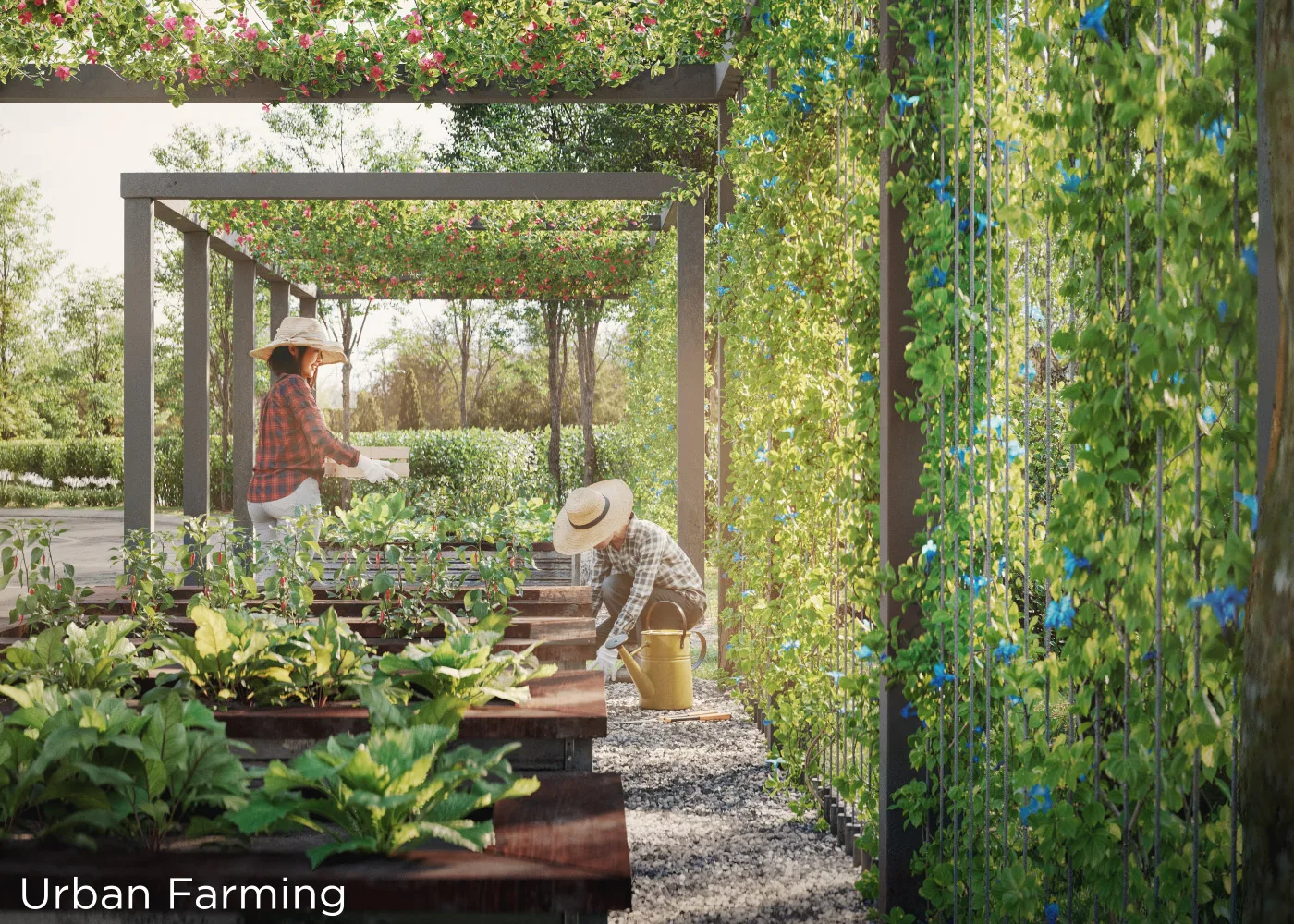 Sunway Flora Phase 2 Sunway Flora 2 Bukit Jalil urban farming plots and community garden under a wooden pergola